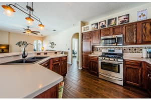 1601 GRAY BARK DRIVE, OLDSMAR, FL 34677 Sold 09/12/24
