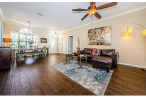 1601 GRAY BARK DRIVE, OLDSMAR, FL 34677 Sold 09/12/24
