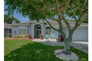 4050 EAGLE COVE EAST DRIVE, PALM HARBOR, FL 34685 Sold 02/25/25