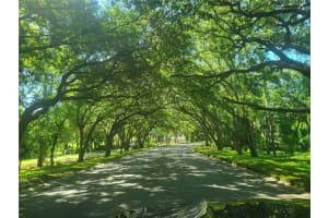 36750 US HIGHWAY 19 N #24-206, PALM HARBOR, FL 34683 Sold 12/30/24