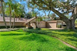 3071 BOLT DRIVE, PALM HARBOR, FL 34685 Sold 10/01/24
