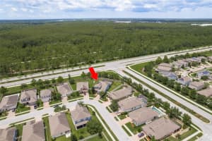 1591 FEATHER GRASS LOOP, LUTZ, FL 33558 Sold 12/02/24