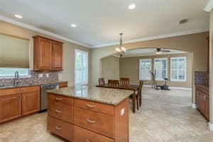 1591 FEATHER GRASS LOOP, LUTZ, FL 33558 Sold 12/02/24