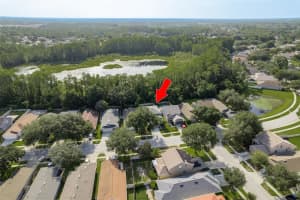 7746 CITRUS BLOSSOM DRIVE, LAND O LAKES, FL 34637 Sold 09/05/24