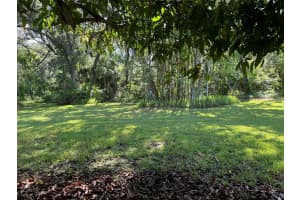 1869 SAN MATEO DRIVE, DUNEDIN, FL 34698 Sold 11/08/24