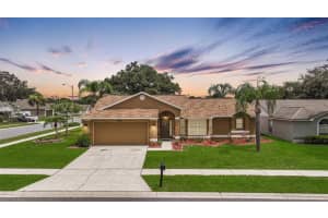 24213 TWIN LAKE DRIVE, LAND O LAKES, FL 34639 Sold 03/07/25
