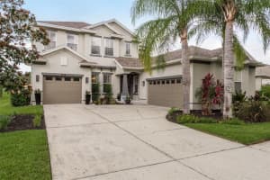8911 HANDEL LOOP, LAND O LAKES, FL 34637 Sold 03/17/25