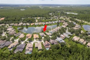 8911 HANDEL LOOP, LAND O LAKES, FL 34637 Sold 03/17/25