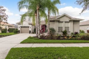 8911 HANDEL LOOP, LAND O LAKES, FL 34637 Sold 03/17/25