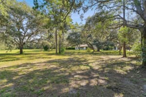 10208 GROVE DRIVE, PORT RICHEY, FL 34668 - MLS#MFRU8252245