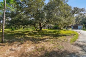 10208 GROVE DRIVE, PORT RICHEY, FL 34668 - MLS#MFRU8252245