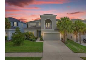 29832 CHAPEL CHASE DRIVE, WESLEY CHAPEL, FL 33545 Sold 10/07/24