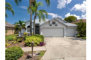 344 WOOD IBIS AVENUE, TARPON SPRINGS, FL 34689 Sold 10/31/24