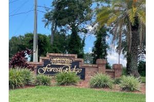 344 WOOD IBIS AVENUE, TARPON SPRINGS, FL 34689 Sold 10/31/24