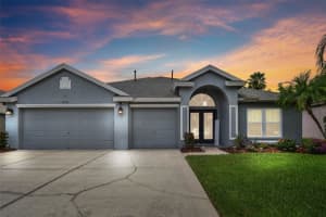 18218 COLLRIDGE DRIVE, TAMPA, FL 33647 Sold 08/23/24