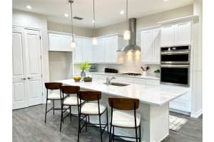 19526 SHELTERED HILL DRIVE, BROOKSVILLE, FL 34601 Sold 10/25/24