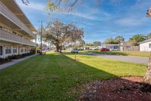 1051 79TH AVENUE, ST PETERSBURG, FL 33702 - MLS#MFRU8252408