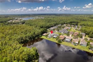 15901 KING JAMES COURT, ODESSA, FL 33556 Sold 12/13/24
