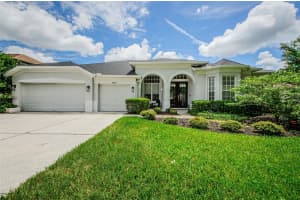 19125 LARCHMONT DRIVE, ODESSA, FL 33556 Sold 12/26/24