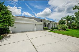 19125 LARCHMONT DRIVE, ODESSA, FL 33556 Sold 12/26/24