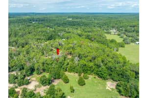15793 DOE TRAIL, BROOKSVILLE, FL 34601 Sold 09/17/24