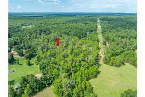 15793 DOE TRAIL, BROOKSVILLE, FL 34601 Sold 09/17/24