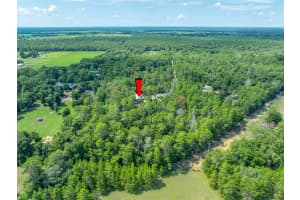 15793 DOE TRAIL, BROOKSVILLE, FL 34601 Sold 09/17/24