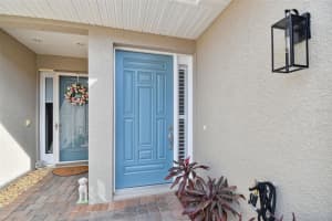1381 RIBOLLA DRIVE, PALM HARBOR, FL 34683 Sold 02/06/25