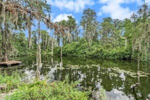 12101 LACEY DRIVE, NEW PORT RICHEY, FL 34654 Sold 09/19/24