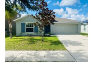 1515 CLIMBING DAYFLOWER DRIVE, RUSKIN, FL 33570 Sold 10/05/24