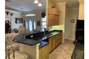 21039 LOS CABOS COURT, LAND O LAKES, FL 34637 Sold 03/14/25