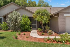 16318 COURSE DRIVE, TAMPA, FL 33624 Sold 09/30/24
