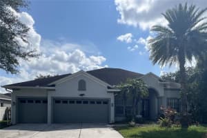 3205 HANGING VINE COURT, LAND O LAKES, FL 34639 Sold 10/21/24