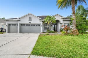 3205 HANGING VINE COURT, LAND O LAKES, FL 34639 Sold 10/21/24