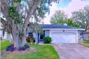12226 BEAR CLAW LOOP, HUDSON, FL 34667 Sold 03/04/25