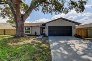 1372 SLEEPY HOLLOW COURT, DUNEDIN, FL 34698 Sold 09/13/24