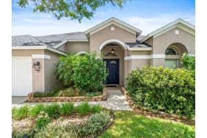12816 BIG SUR DRIVE, TAMPA, FL 33625 Sold 09/19/24