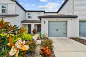 5228 New Friendship Pl, TAMPA
