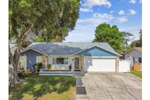 11413 SCALLOP DRIVE, PORT RICHEY, FL 34668 Sold 10/07/24