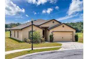 31374 MARIGOLD COURT, BROOKSVILLE, FL 34602 Sold 10/01/24