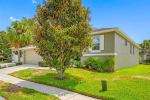 1008 BLUE HERON WAY, TARPON SPRINGS, FL 34689 - MLS#MFRU8254338