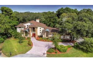 1361 SAGO COURT, DUNEDIN, FL 34698 Sold 10/17/24