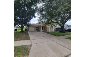 1741 WOODCUT DRIVE, LUTZ, FL 33559 Sold 10/21/24