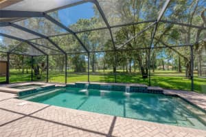12420 EAGLES ENTRY DRIVE, ODESSA, FL 33556 Sold 02/07/25