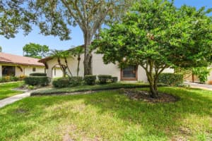 3478 TARPON WOODS BOULEVARD, PALM HARBOR, FL 34685 Sold 11/12/24