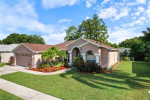 8131 BAYTREE DRIVE, NEW PORT RICHEY, FL 34653 Sold 11/08/24