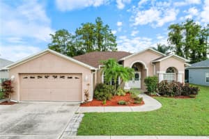 8131 BAYTREE DRIVE, NEW PORT RICHEY, FL 34653 Sold 11/08/24