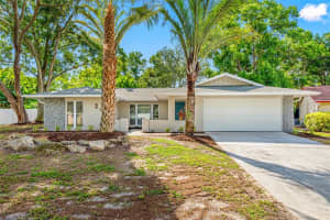 215 HOLLOW OAK COURT, TARPON SPRINGS, FL 34689 Sold 11/12/24
