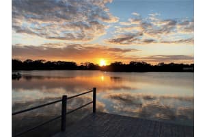 MLS# MFRU8254994, New Port Richey, Florida 34652