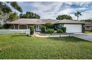 3832 SUNRISE LANE, TARPON SPRINGS, FL 34688 Sold 10/31/24